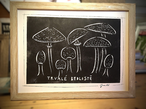 Trvalé bedliště — foto 2