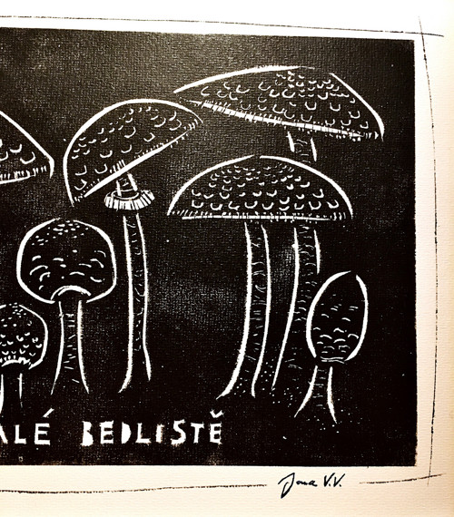 Trvalé bedliště — foto 3
