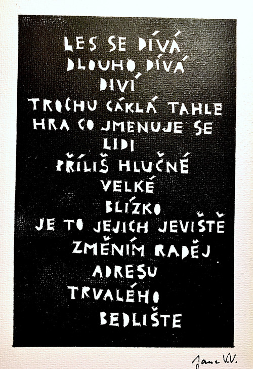 Trvalé bedliště - textový obrázek — foto 3
