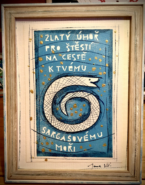 Zlatí úhoři — foto 3
