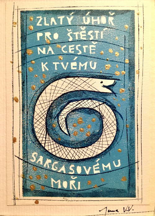 Zlatí úhoři — foto 2