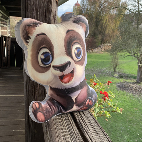 Panda I. - 3D polštář — foto 2