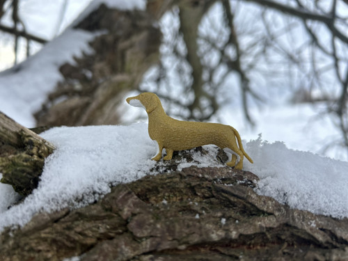 Jezevčík black/gold — foto 2