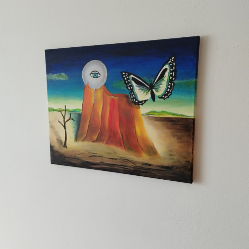 Na křídlech motýla — foto 3