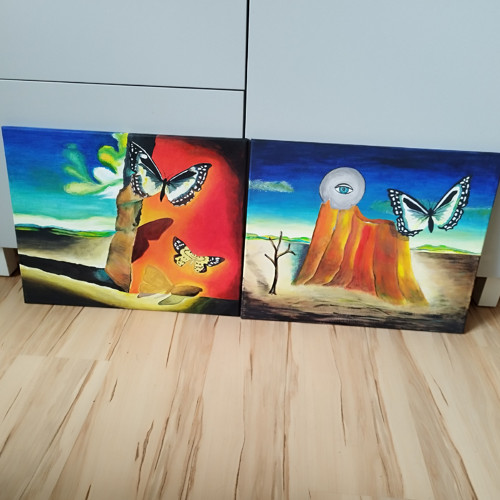 Na křídlech motýla — foto 6