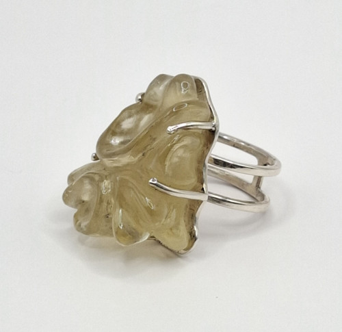 Tremella — foto 2
