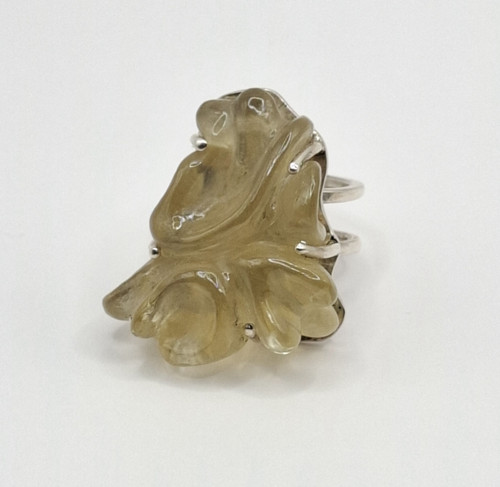 Tremella — foto 3