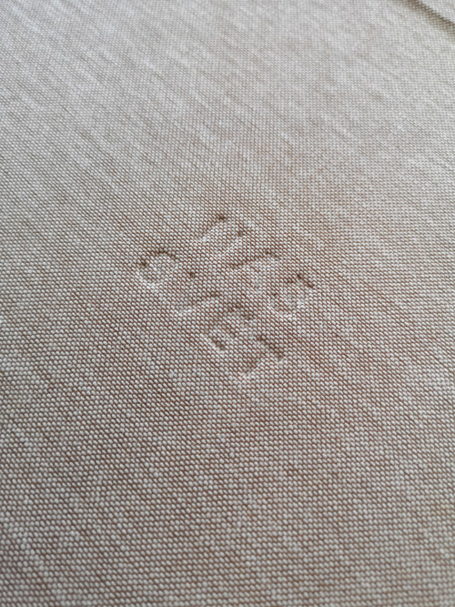 NÁŠ SVĚT — foto 3