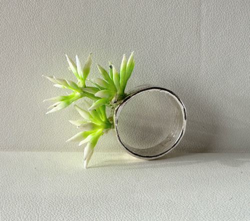 Zelené bodlinky - Green spikes — foto 4