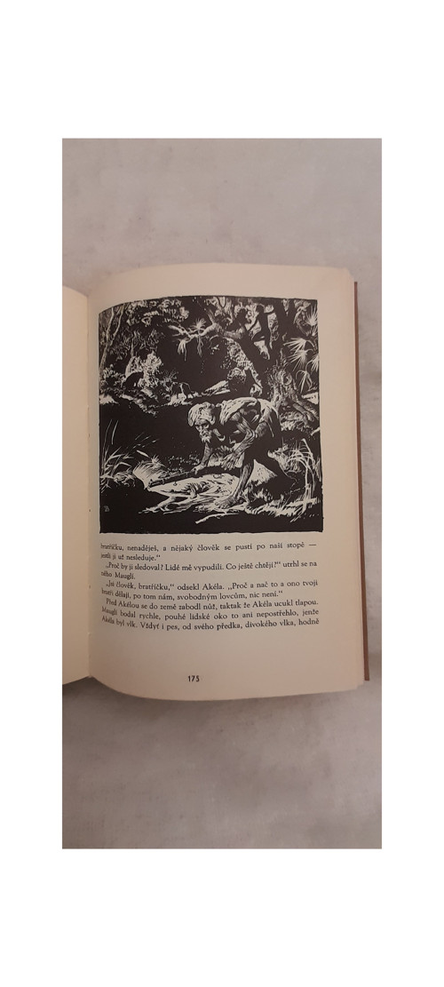 Knihy džunglí - Rudyard Kipling — foto 4