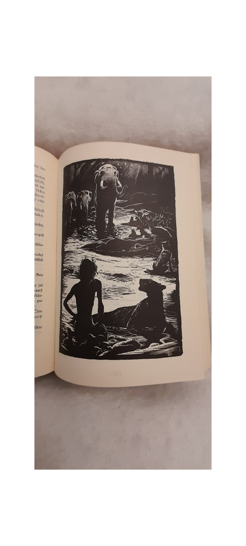 Knihy džunglí - Rudyard Kipling — foto 2