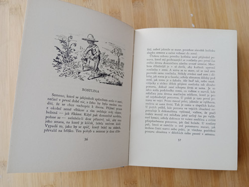 Zlatý klíček Jan Vrba — foto 3