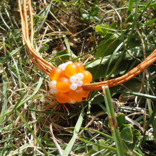 Oranžová kulička — foto 2