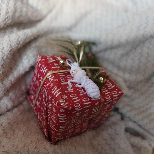 Háčkovaný červík v zimním — foto 4
