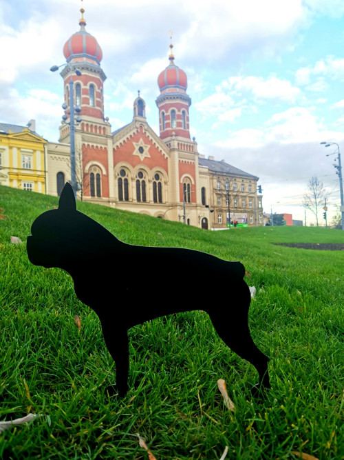 Buldoček — foto 3