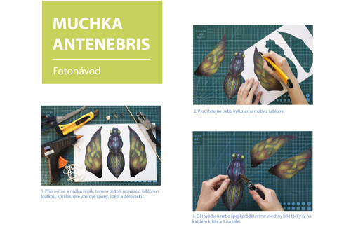 Papírová loutka Muchka Antenebris — foto 3