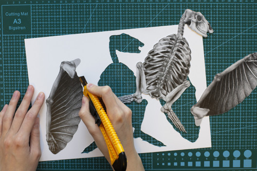 Papírová loutka Raptor Tudor — foto 2