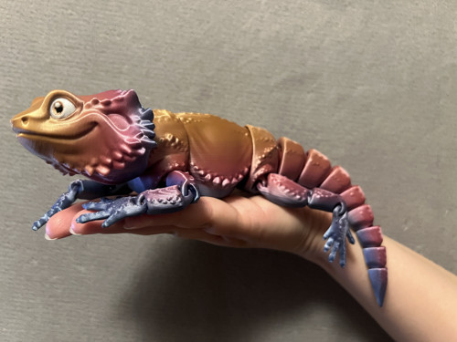 Agama Vousatá - 26 cm - 3D Tisk — foto 2