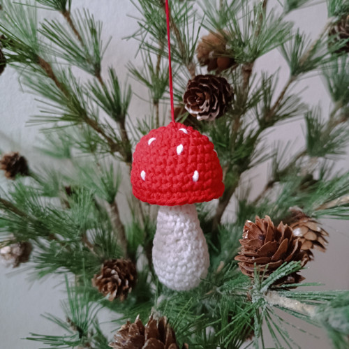 Muchomůrka červená — foto 3