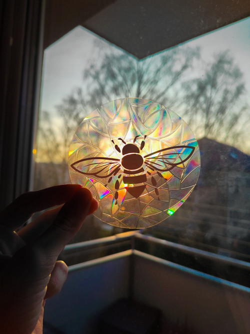 Lapač slunce suncatcher - včelka — foto 2