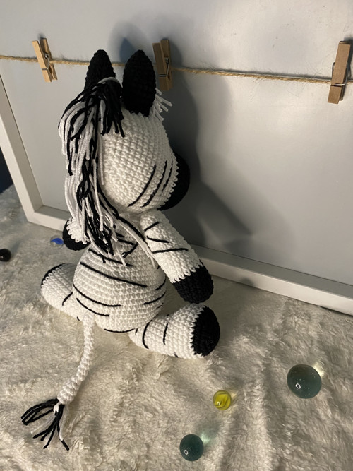 Háčkovaná zebra — foto 5