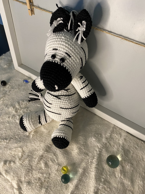 Háčkovaná zebra — foto 3