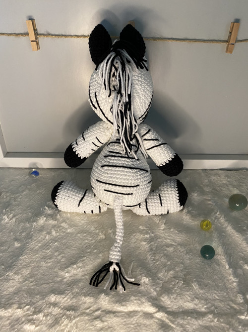 Háčkovaná zebra — foto 4