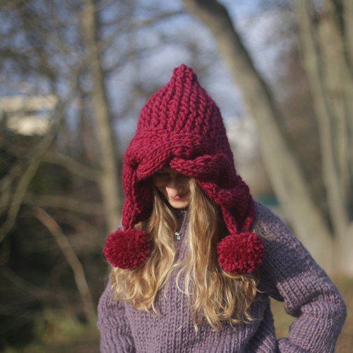 Pompona vínová — foto 6