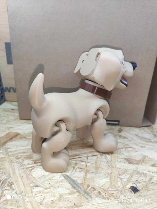 Labrador — foto 3