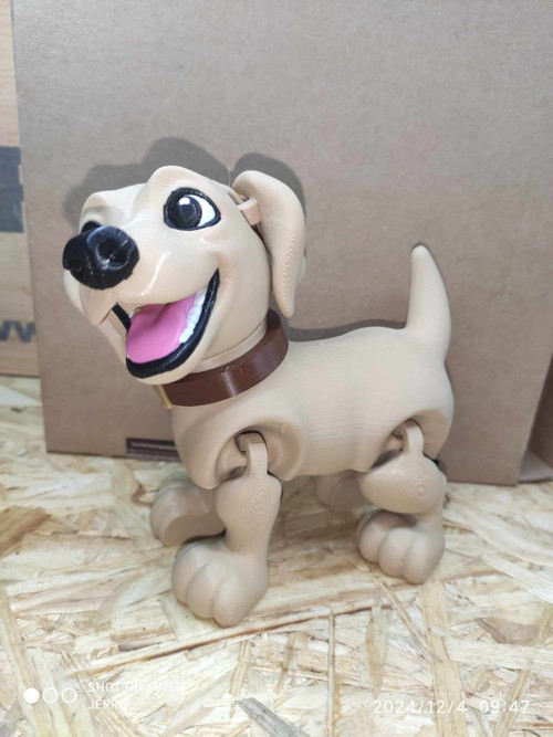 Labrador — foto 2