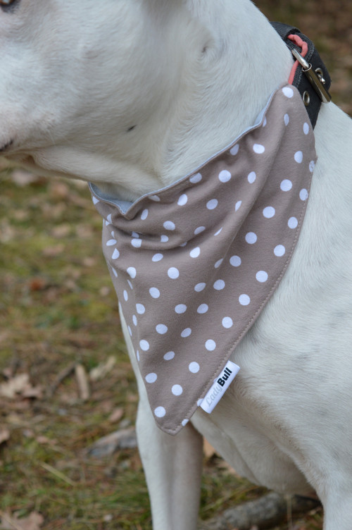 Šátek pro psa brown dots — foto 2