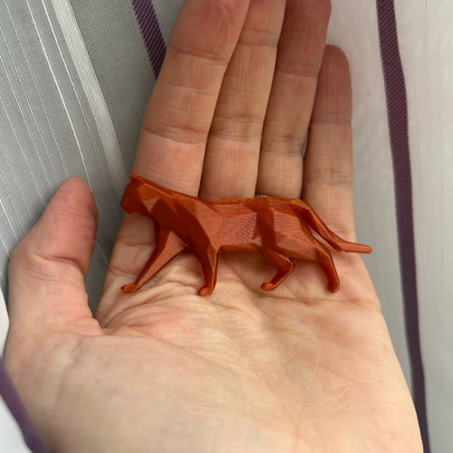 Kočka polygon copper — foto 2