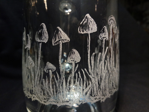 Houby magický — foto 5