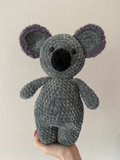Koala velká — foto 2