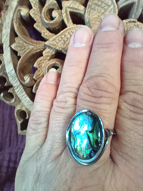Abalone — foto 3