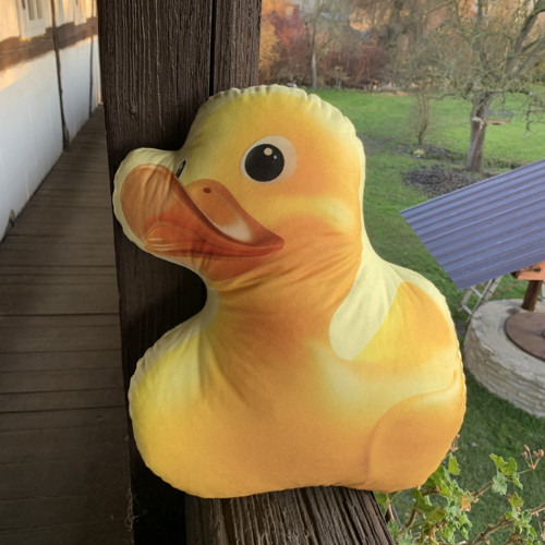 Polštář 3D - Káčátko velké — foto 2
