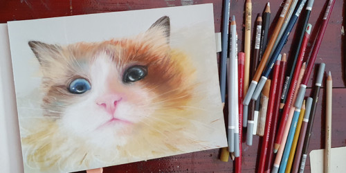 Obraz "Kimi" - pastelové pastelky — foto 5