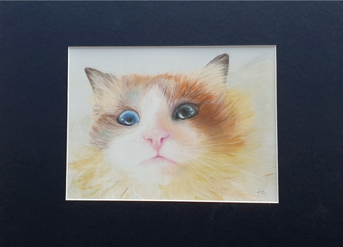 Obraz "Kimi" - pastelové pastelky — foto 2