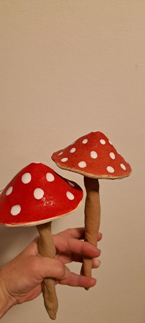 Muchomůrka veliká 11cm — foto 3