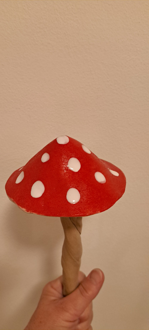 Muchomůrka veliká 11cm — foto 4