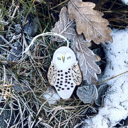 Sovička sněžná — foto 3