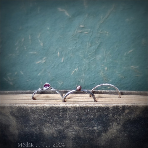 Milé setkání... — foto 5