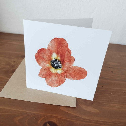 Přání tulipán — foto 2