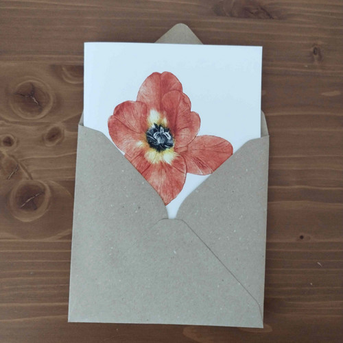 Přání tulipán — foto 3