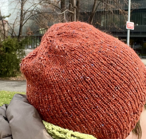 Ginger 154 tweed — foto 2