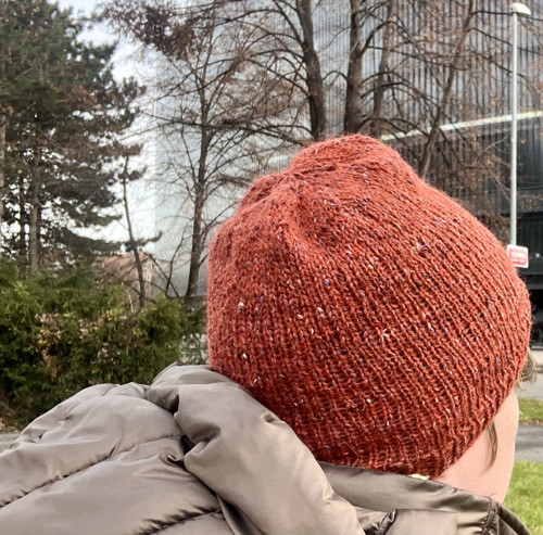 Ginger 154 tweed — foto 6