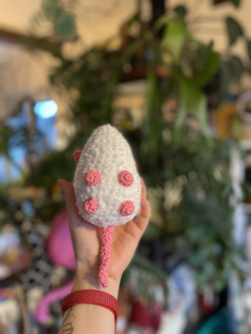 Háčkovaná myška — foto 5