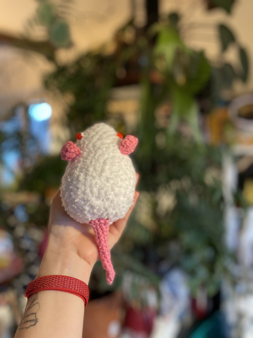 Háčkovaná myška — foto 4