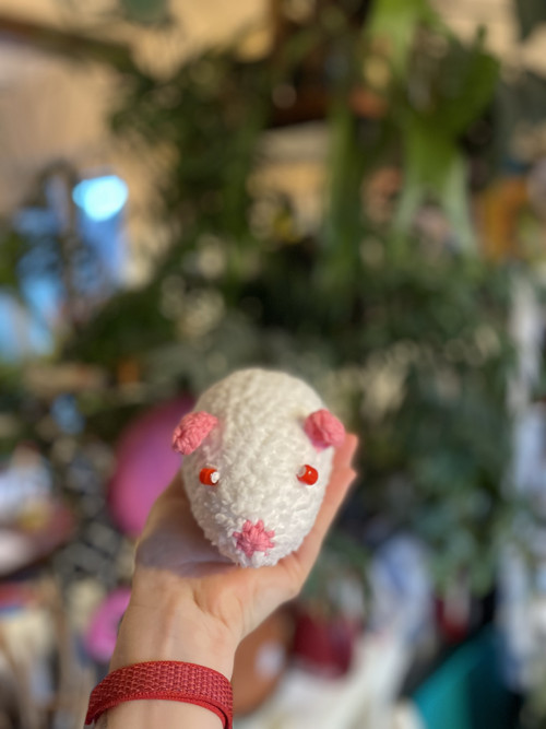 Háčkovaná myška — foto 6