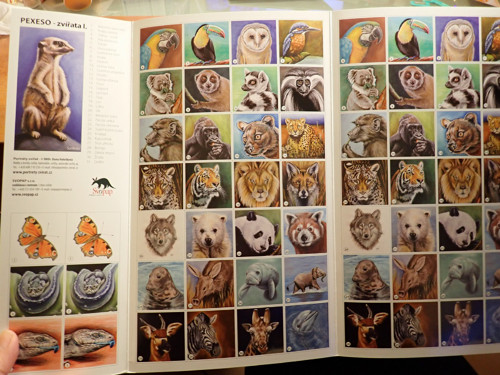 Pexeso Zvířata I. - lemur kata — foto 5